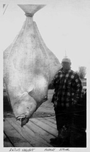 267 lb halibut Albert Stone
